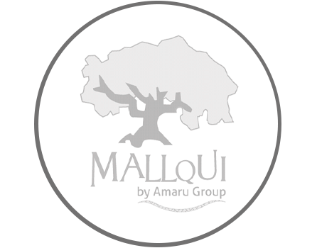 mallqui log web